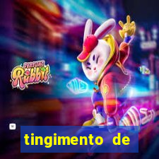tingimento de roupas porto alegre